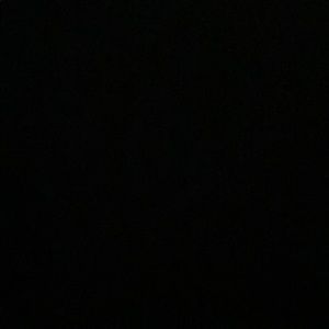 Meet your Posher, Richard jr